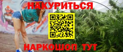 дурь Гай
