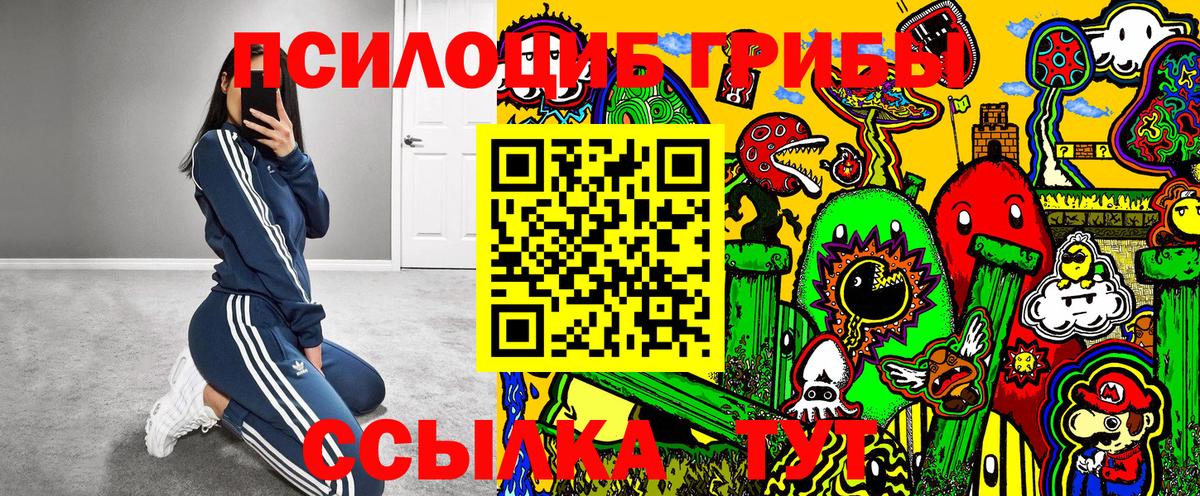 Псилоцибиновые грибы Magic Shrooms  где можно купить наркотик  Нефтекамск  Вход с VPN 